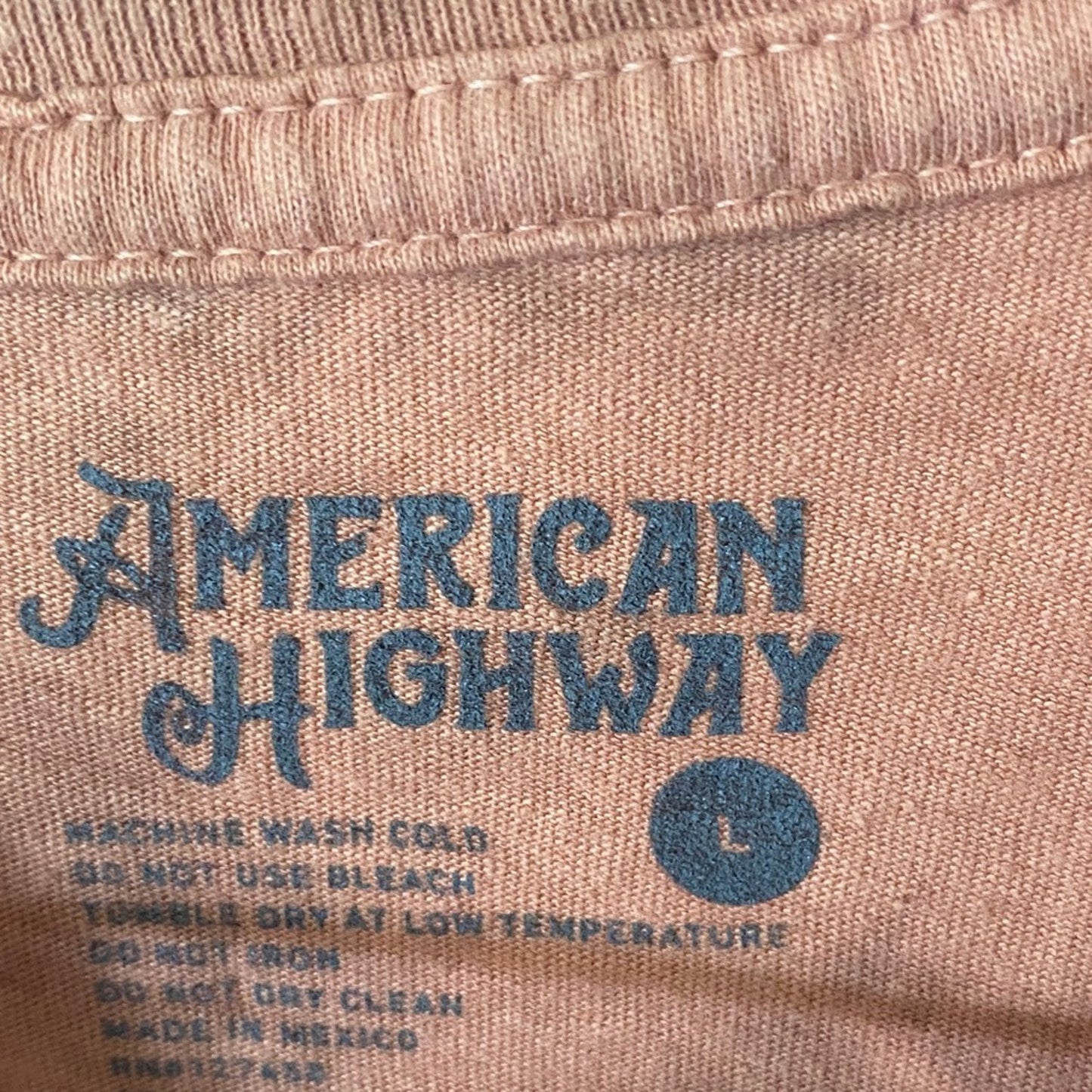 Wild As The Wind Graphic Tee - orange/Brown